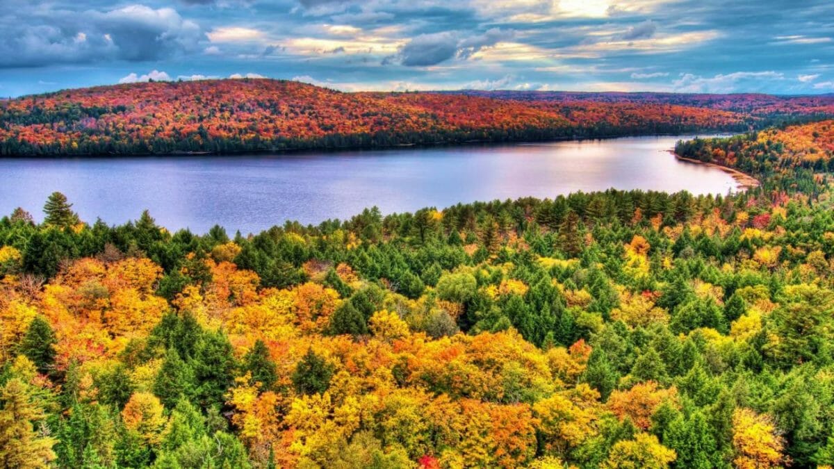 Algonquin Provincial Park autumn ontario, осень в Канаде, красота природы, Канада