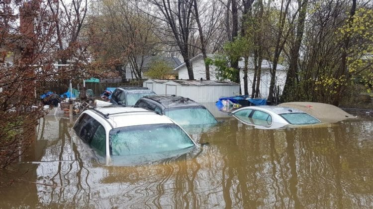 затопленные автомобили Канада